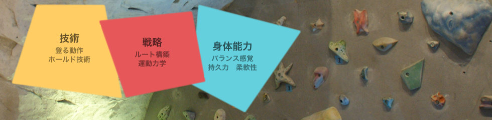 頭脳、身体、技術を総合的に育む